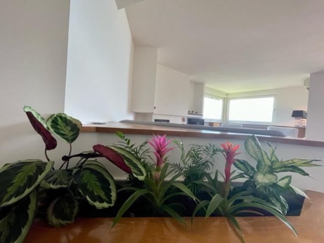 Willa Casa Caponetti Costa Volpino Zewnętrze zdjęcie